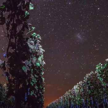 fotos MiradaPrancheta (5)