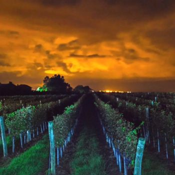 fotos MiradaPrancheta (6)